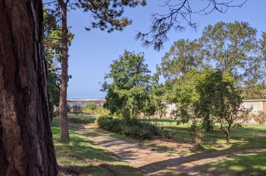 Le parc du chateau de Saint Aubin