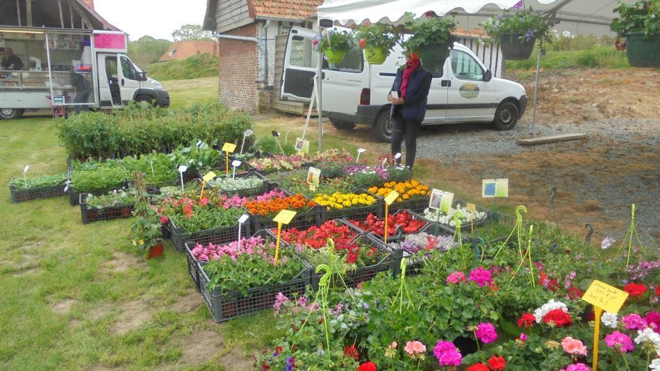 La foire aux plantes